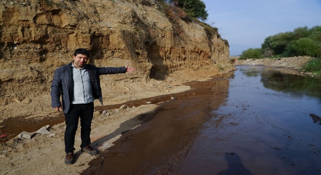Zeytinin kara suyu ve pirinasının ekonomiye kazandırılması önerisi