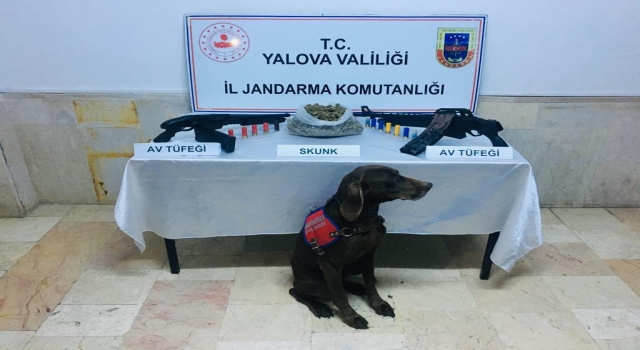 Çınarcık’ta uyuşturucu operasyonu