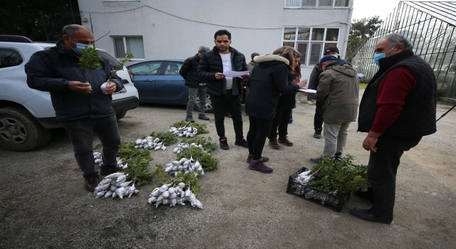 Türkiye’nin en büyük adası ”damla sakızı” üretim merkezi oluyor