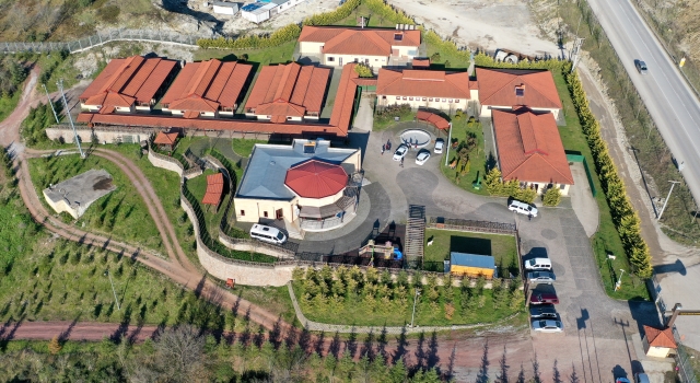 Kocaeli’deki sokak hayvanları kasabası tehlikeli tür köpeklere yuva oldu