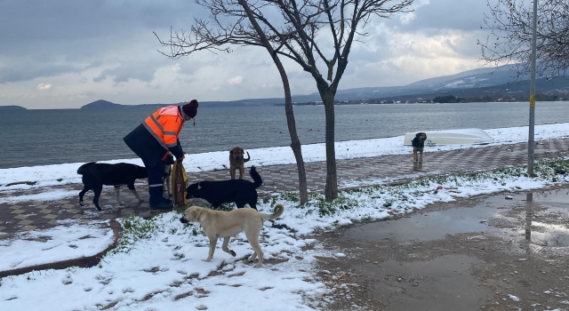 Bandırma’da sokak hayvanları için çevreye mama bırakıldı