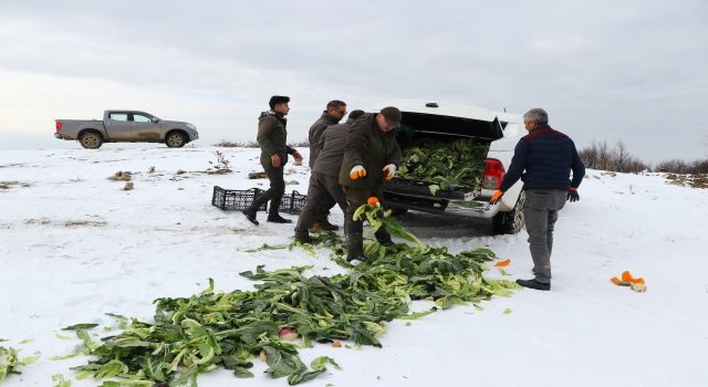Tekirdağ’da yaban hayvanları için doğaya 2 ton yem bırakıldı 