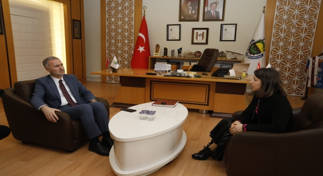 Ölen hamile kedinin karnını açıp yavrularını kurtardı