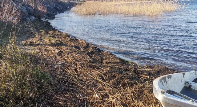 Sapanca Gölü’nde atık temizliği yapıldı