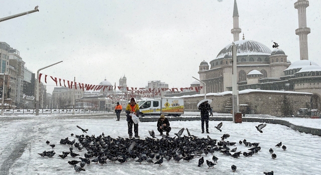 Taksim Meydanı’ndaki güvercinlere Beyoğlu Belediyesince yem verildi
