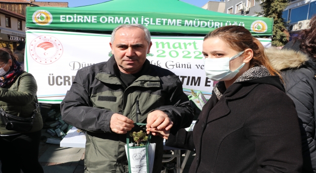 Edirne’de vatandaşlara 5 bin çam fidanı dağıtıldı