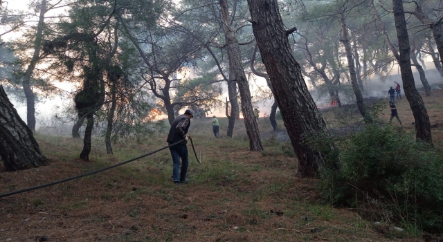 Balıkesir’de ormanlık alanlarda çıkan 3 yangın kontrol altına alındı