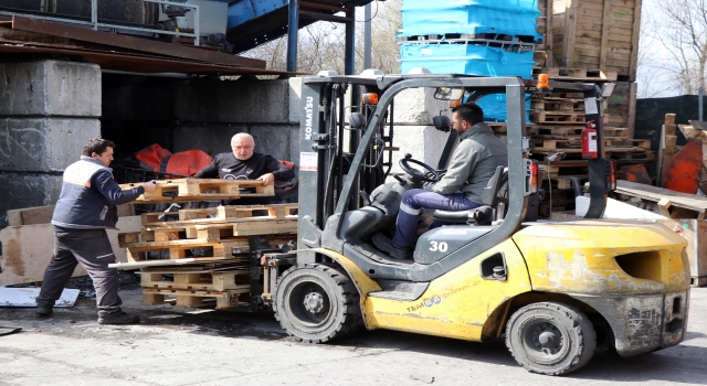 Atık tahtaları sahipsiz hayvanlar için yuvaya dönüştürüyor