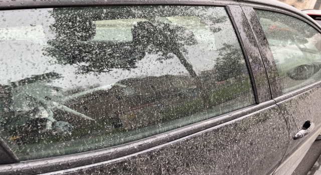 Tekirdağ’da toz taşınması nedeniyle yağmurla birlikte çamur yağdı