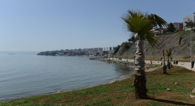 Tekirdağ’daki Alkaya sahilinde düzenleme çalışmaları sürüyor