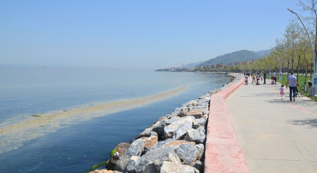 Karamürsel’de deniz yüzeyinde kirlilik oluştu