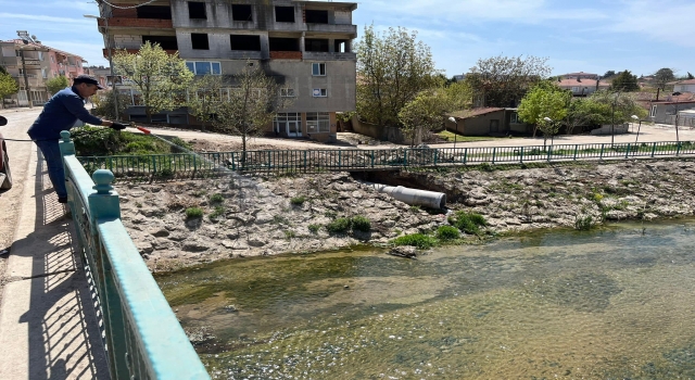 Lüleburgaz’da haşere ve sineklere karşı ilaçlama
