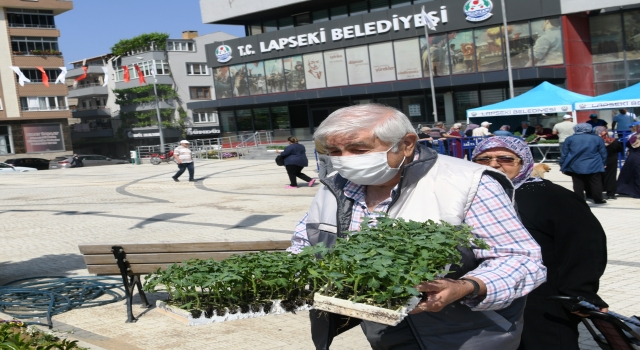 Lapseki’de 51 bin domates fidesi dağıtıldı