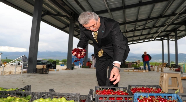 Geyve Safibey Ürün Toplama Merkezi üreticiyle tüketiciyi buluşturacak