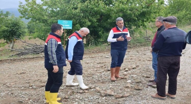 Gölpazarı’nda doludan etkilenen tarım alanlarında hasar tespiti yapıldı