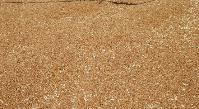 Tekirdağ’dan kısa kısa
