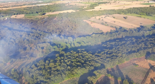 GÜNCELLEME Çanakkale’deki orman yangını kontrol altına alındı