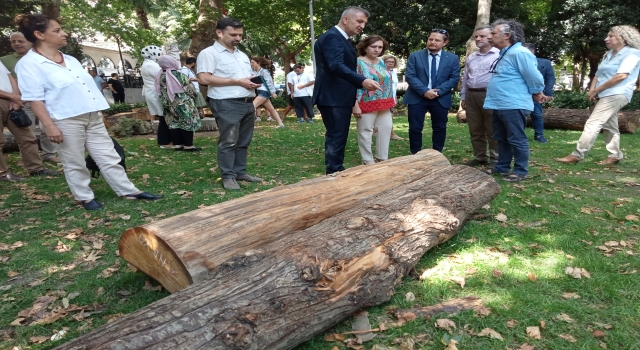 Uluslararası Değirmendere Zühtü Müridoğlu Ahşap Heykel Sempozyumu başladı
