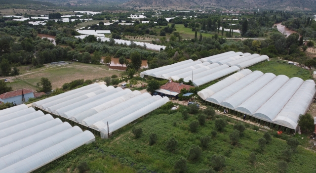 Sakarya Nehri’nden sulanan domates ve salatalıklar, üreticinin yüzünü güldürdü