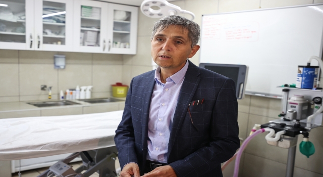 Kedilerdeki koronavirüs tedavi edilmezse kayıplara yol açıyor