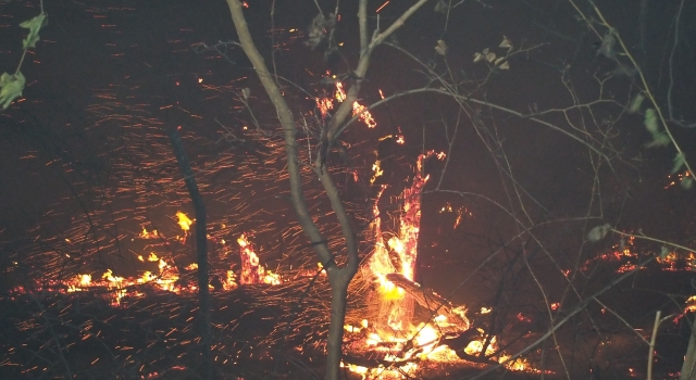 Balıkesir’de meyve bahçesinde çıkan yangın yerleşim yerlerine sıçramadan söndürüldü