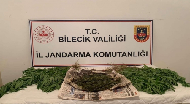 Bilecik’teki uyuşturucu operasyonunda bir şüpheli yakalandı