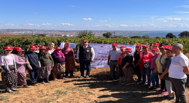 Tekirdağ’da bağcılık eğitimine katılan 26 kadına belge verildi