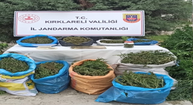 Kırklareli’nde uyuşturucu operasyonunda 2 şüpheli tutuklandı