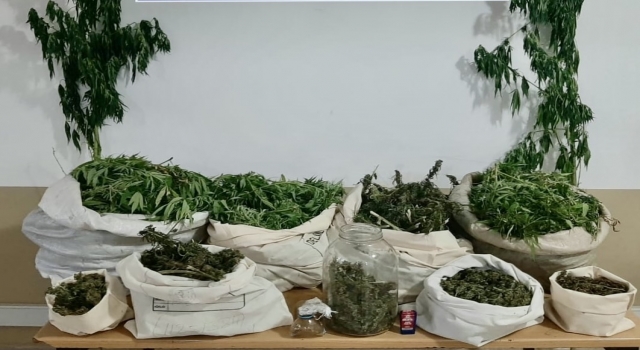 Sakarya’da 16 kilogram kubar esrar ele geçirildi