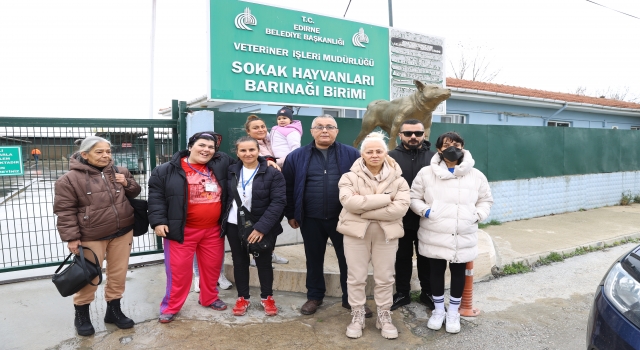 Edirne’de kedilerin ölü bulunmasına hayvanseverler tepki gösterdi