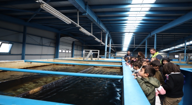Sakarya Büyükşehir Belediyesinden kısa kısa