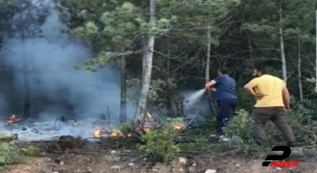 Avcıların dikkati ormanda çıkan yangının büyümesini önledi