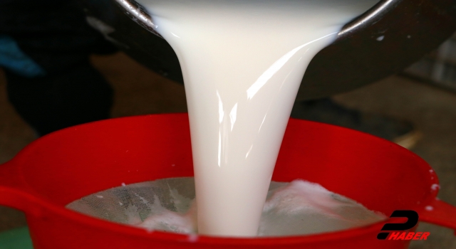 İzole yaşam süt ve süt ürünleri tüketimini artırdı
