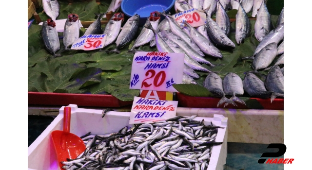 Karadeniz’deki hamsi bolluğu balıkçı tezgahlarını şenlendirdi