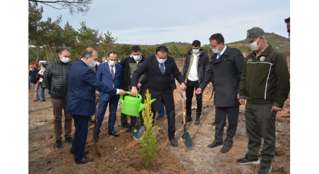 Ayvalık’ta yanan alanlarda ağaçlandırma çalışması başladı