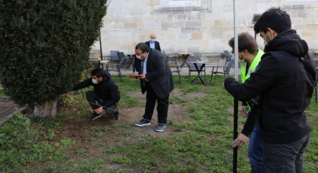 Edirne’de yıllara meydan okuyan anıt ağaçlar koruma altına alındı