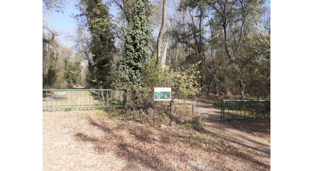 Koruma altındaki Edirne sümbülünün yetiştiği alanlara bilgilendirme tabelaları konuldu