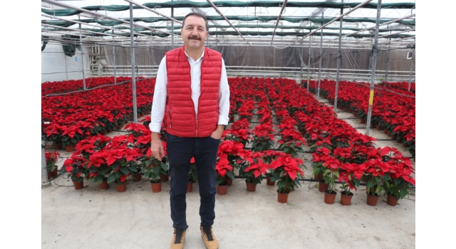 Süs bitkileri ihracatı salgında arttı