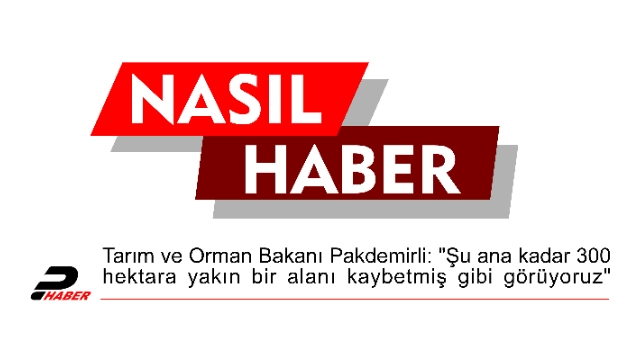 Tarım ve Orman Bakanı Pakdemirli: "Şu ana kadar 300 hektara yakın bir alanı kaybetmiş gibi görüyoruz"