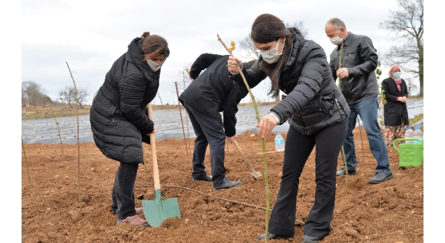 Bilecik’te alternatif ürün ahududu ve böğürtlen fidesi toprakla buluştu