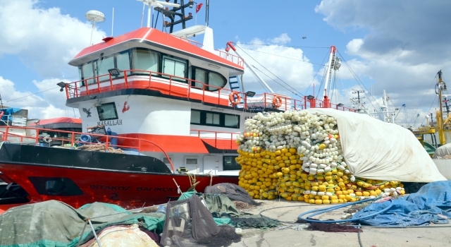 Kocaeli’de balıkçılar ”deniz salyası” nedeniyle sezonu kapattı
