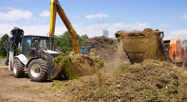 Tuzla’da toplanan atık dallarla 5 bin ailenin elektriği üretiliyor