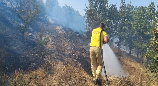 Çanakkale’de ormanlık alanda çıkan yangında 10 hektar alan zarar gördü
