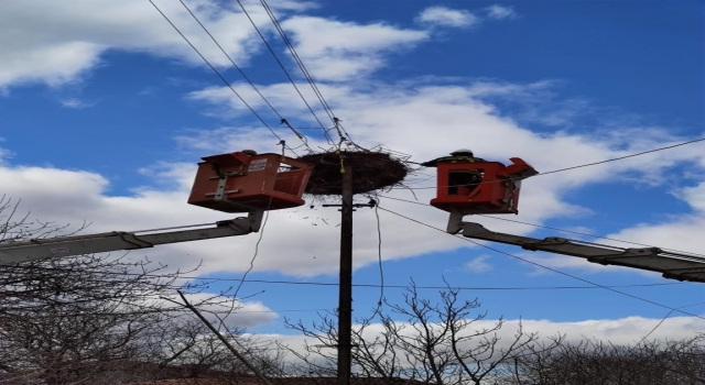 Edirne’de leylekler için elektrik direklerine özel platformlar konuyor