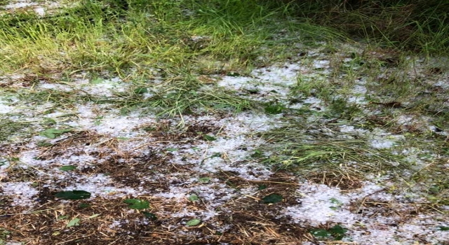 Kırklareli’nde dolu yağışı bazı tarımsal alanlara zarar verdi