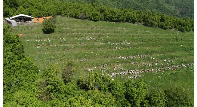 Tekirdağ’da araştırma için beslenen arı kovanlarını tahrip edenlerin yakalanması için çalışma başlatıldı