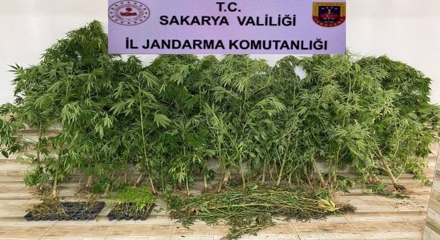 Sakarya’da uyuşturucu operasyonunda 2 şüpheli yakalandı