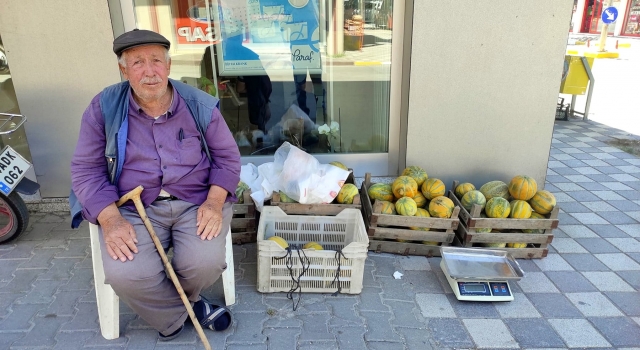 ”Pamukova kavunu”, tezgahlarda satışa çıktı