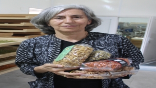 Kadın girişimci, "atalık" tohumlardan düşük glütenli makarna üretiyor