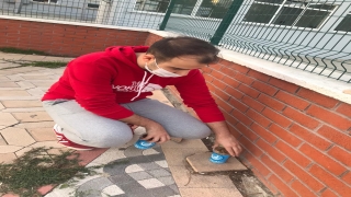 Ülkü Ocakları üyeleri sokak hayvanlarına mama desteğinde bulundu